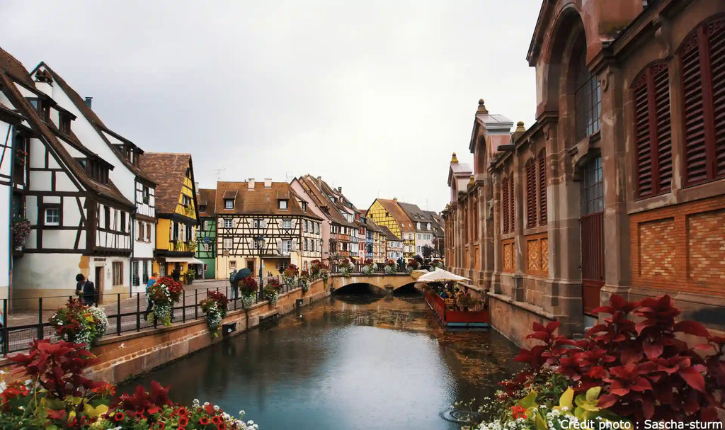 Alsace_Road trip entre Colmar et Strasbourg
