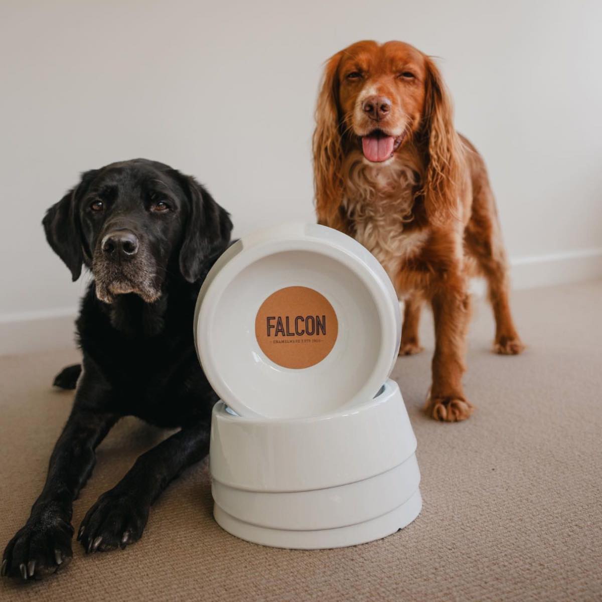 Falcon_Bol_pour_chien_blanc_glace_3