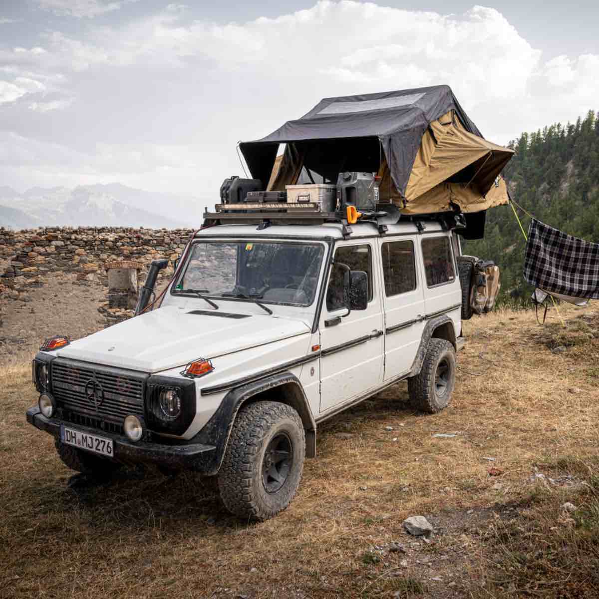 Vickywood_Bigwillow_220_98