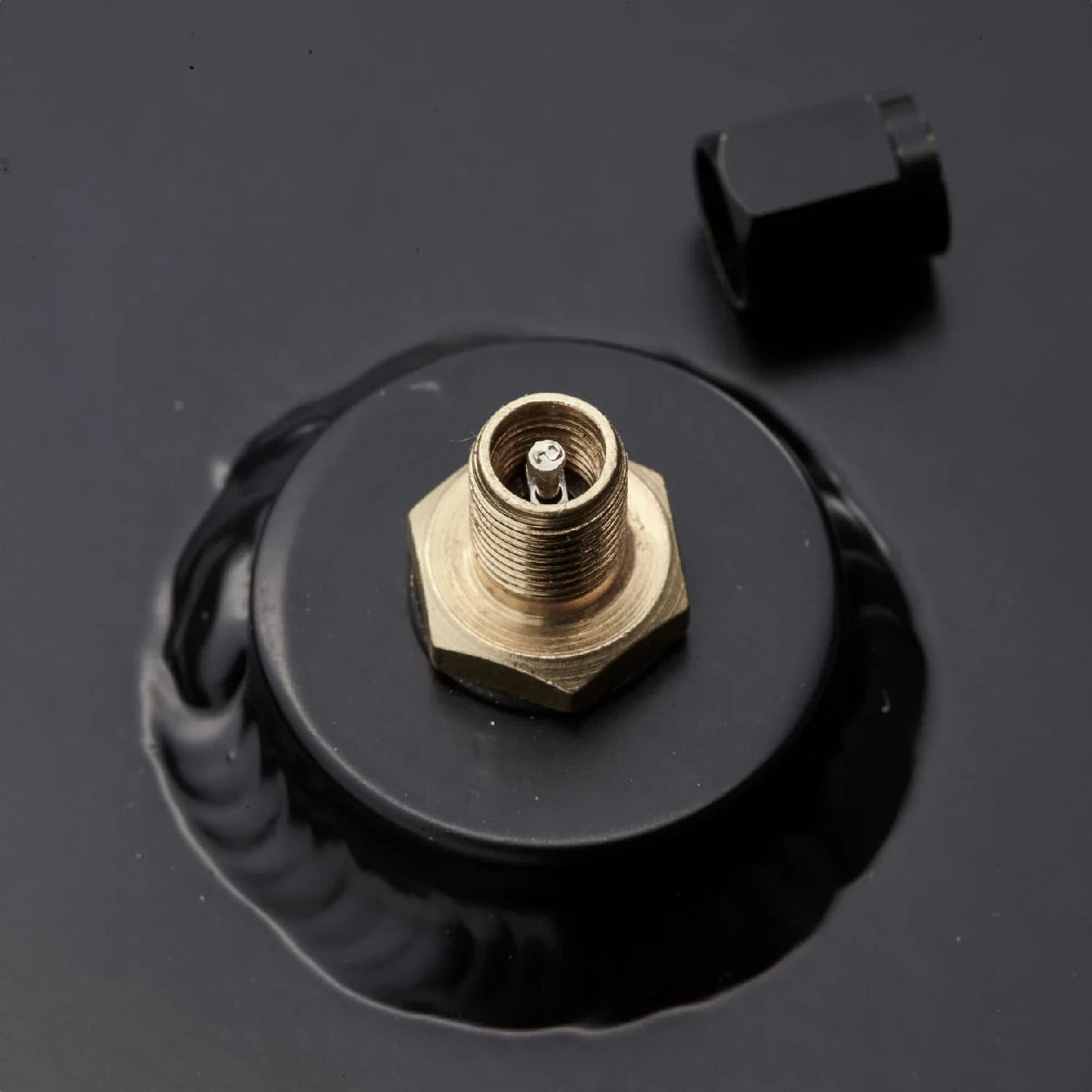 Vickywood_Douche de toit_Evotank