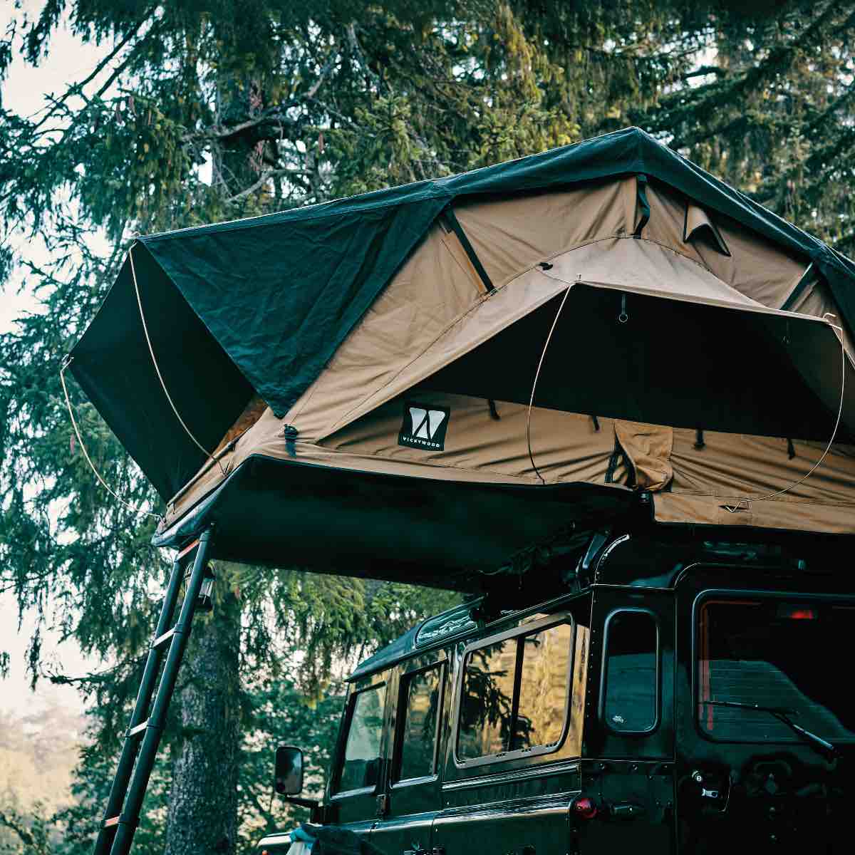 Vickywood_smallWillow_160_20