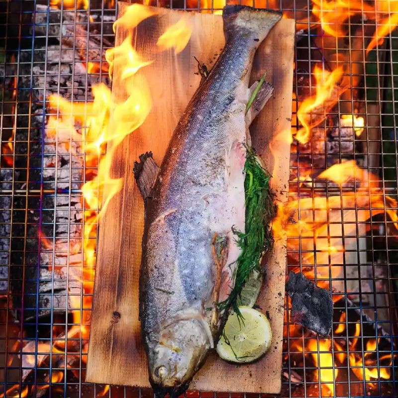 brasero_barbecue_large_Kamoto_PRIMUS_7