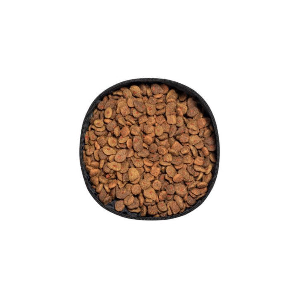 Casambu_Campervan-Weekend_Gamelle-pliable_Croquettes