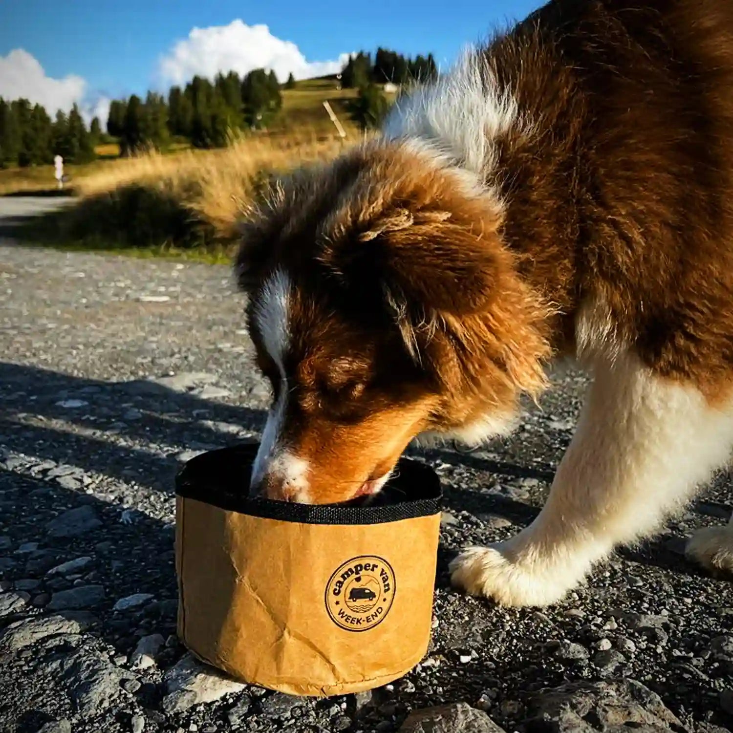 Gamelle pliable_Animaux_Chien_Chats_Campervan Weekend