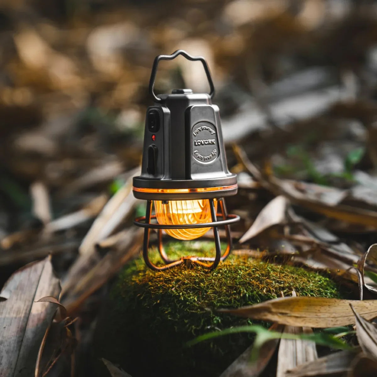 Lovork_Lampe LED guirlande_Argent_3