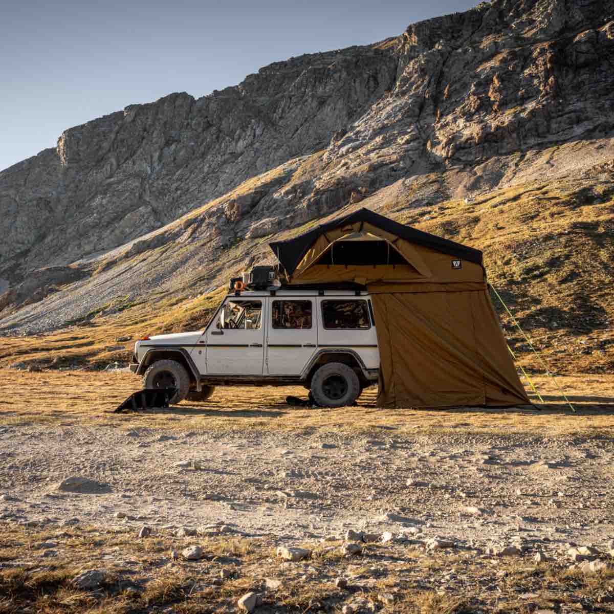 Vickywood_Bigwillow_220_gen3_99