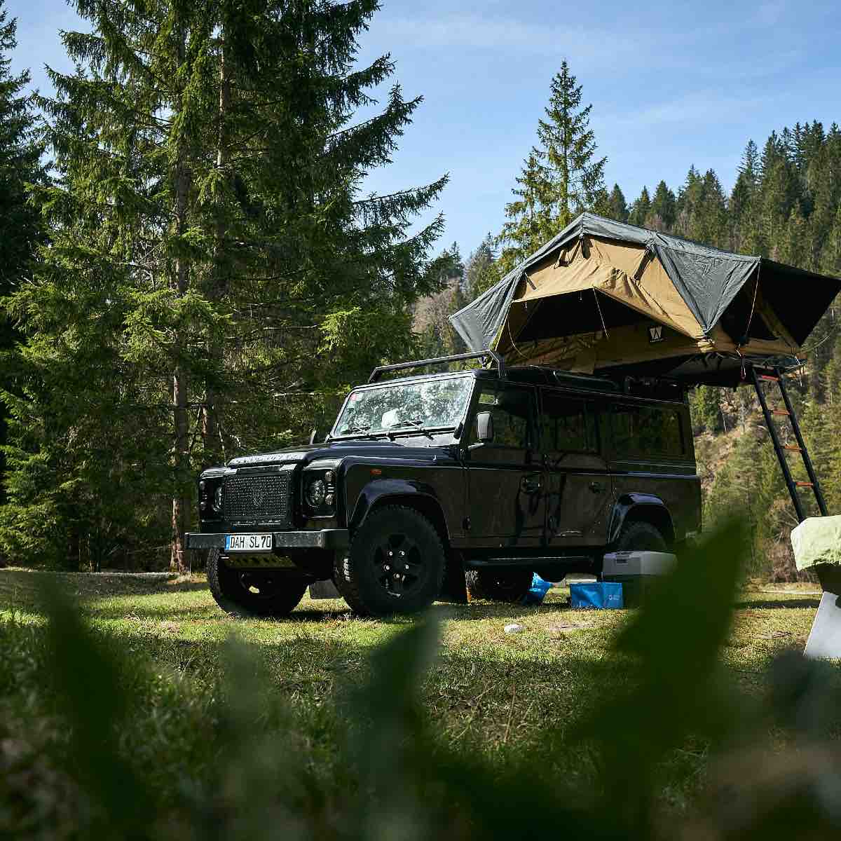 Vickywood_smallWillow_160_21